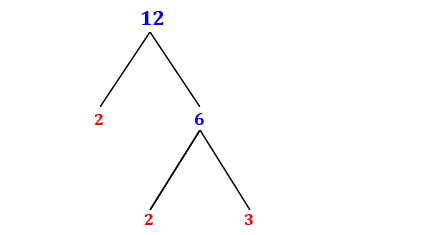 Prime Factorization of 12 with a Factor Tree